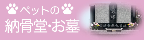 納骨堂