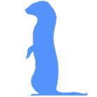 フェレット等