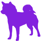 柴犬等