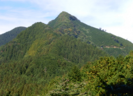 山の散骨