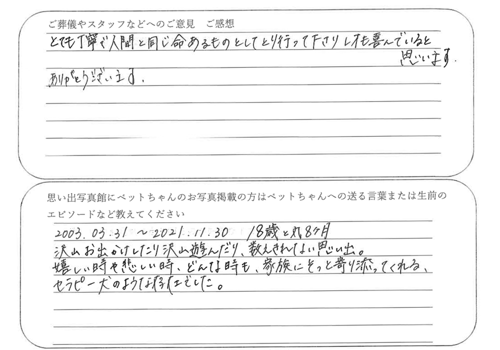川口市よりちわわ火葬ご依頼のお客様