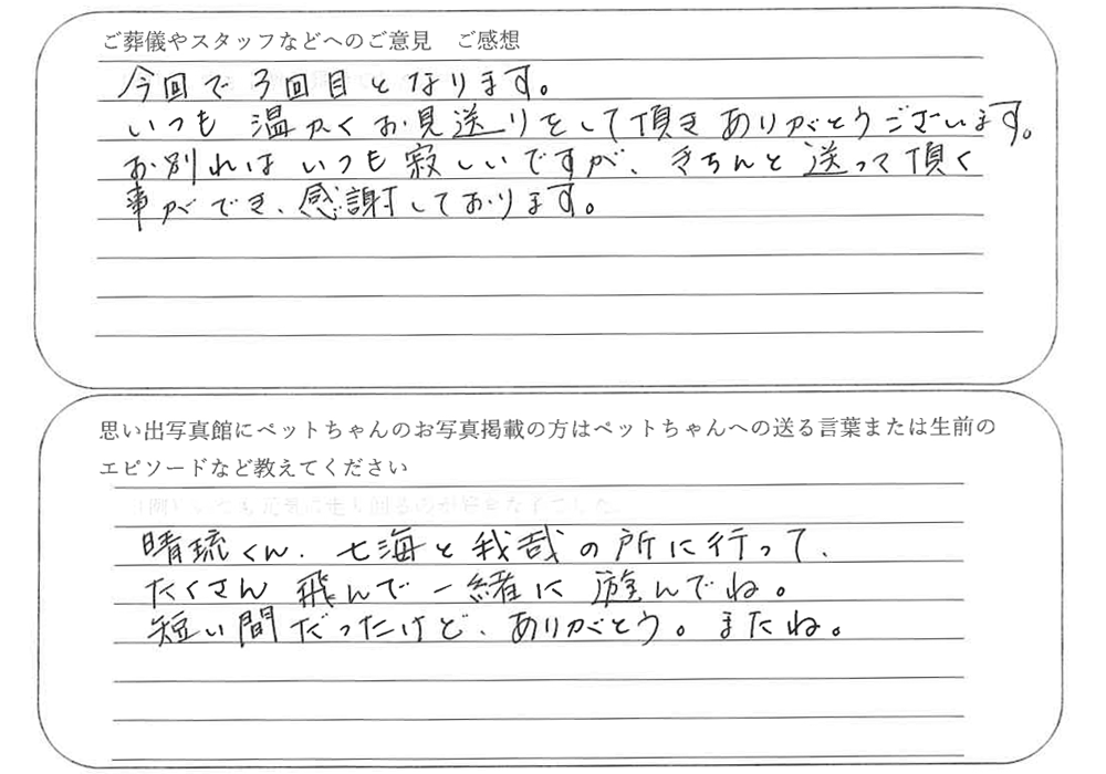 東京都足立区よりマメルリは火葬ご依頼のお客様