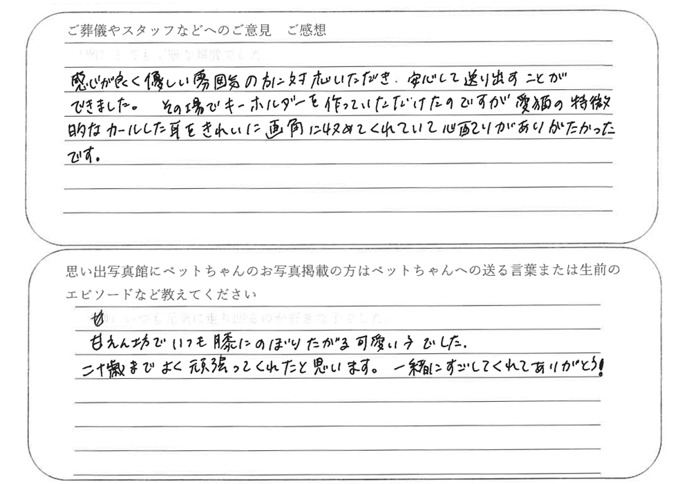 東京都足立区梅田よりアメリカンカールは火葬ご依頼のお客様