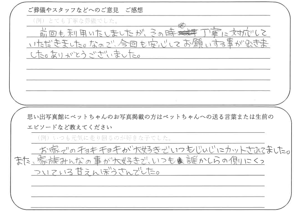 ポメラニアン火葬