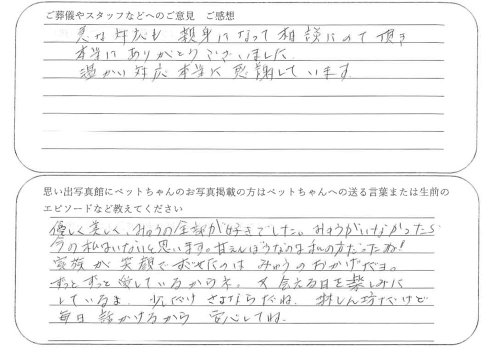 三毛猫火葬