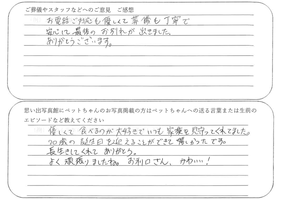 三毛猫火葬