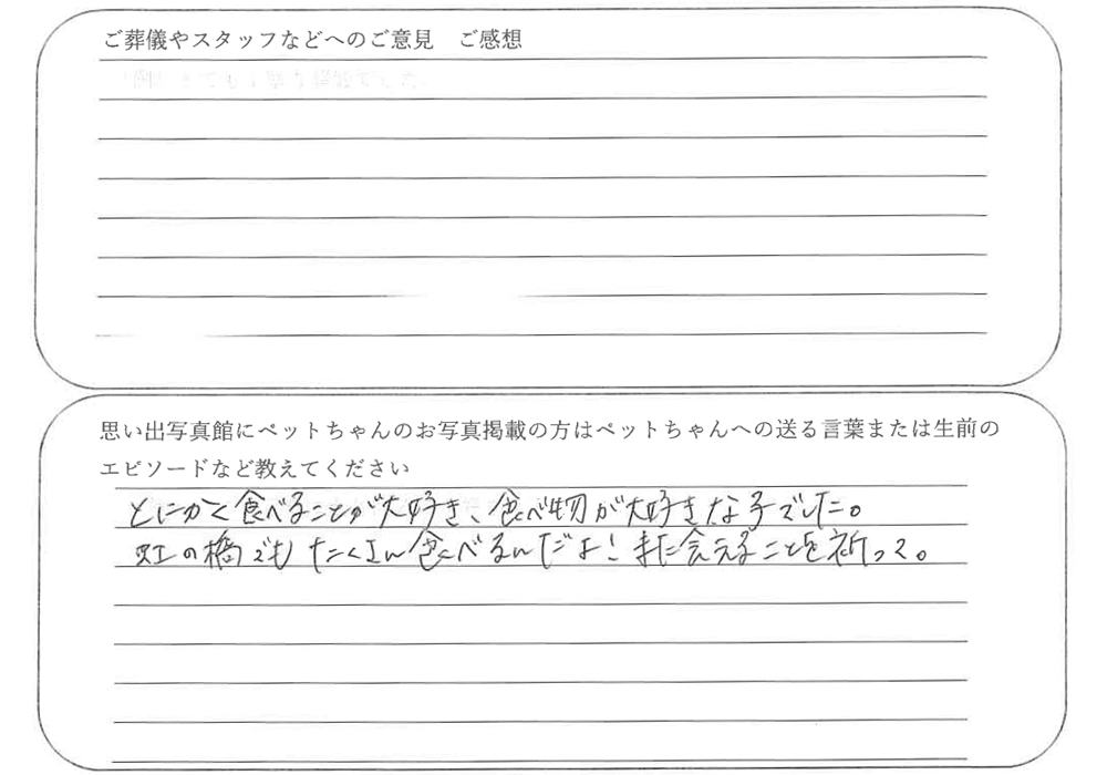 三毛猫火葬