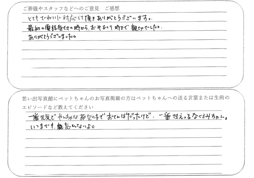 三毛猫火葬