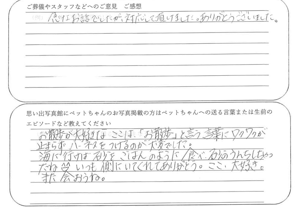 三毛猫火葬