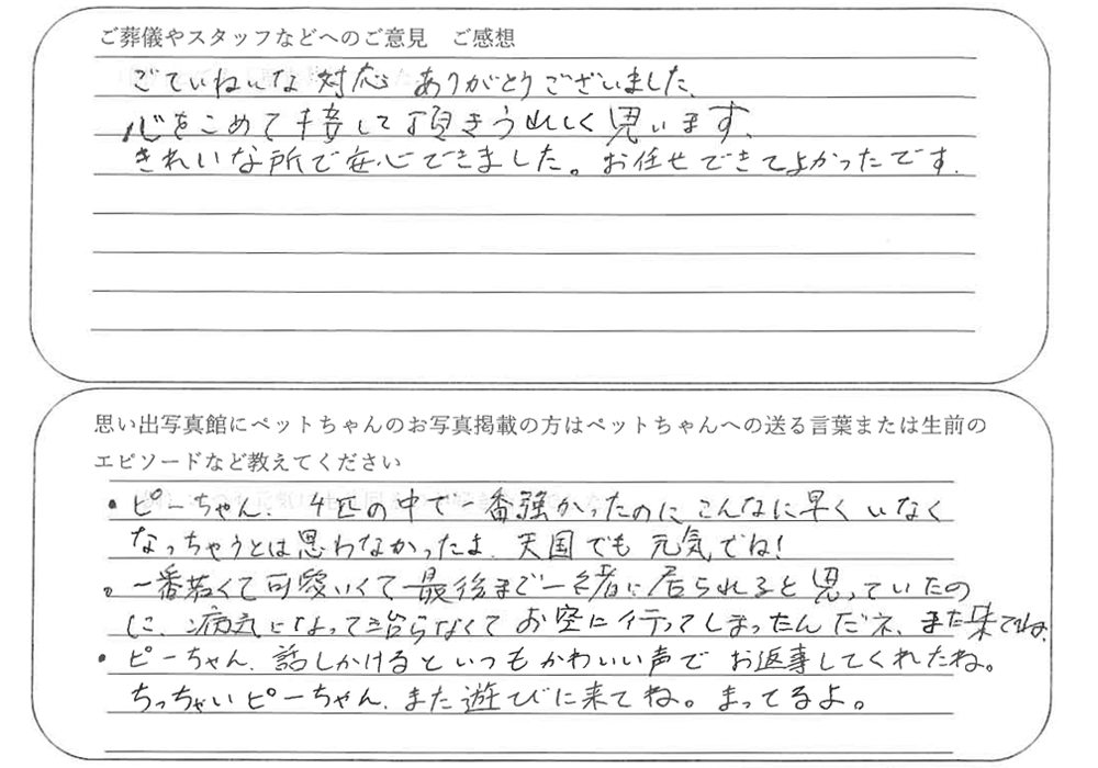 三毛猫火葬