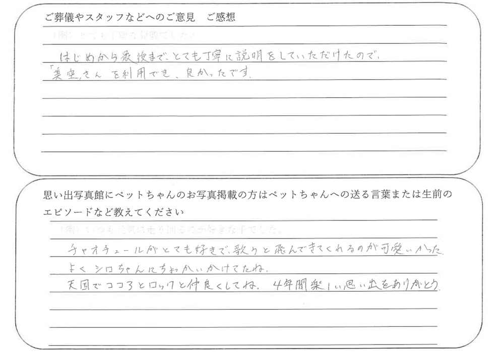 三毛猫火葬