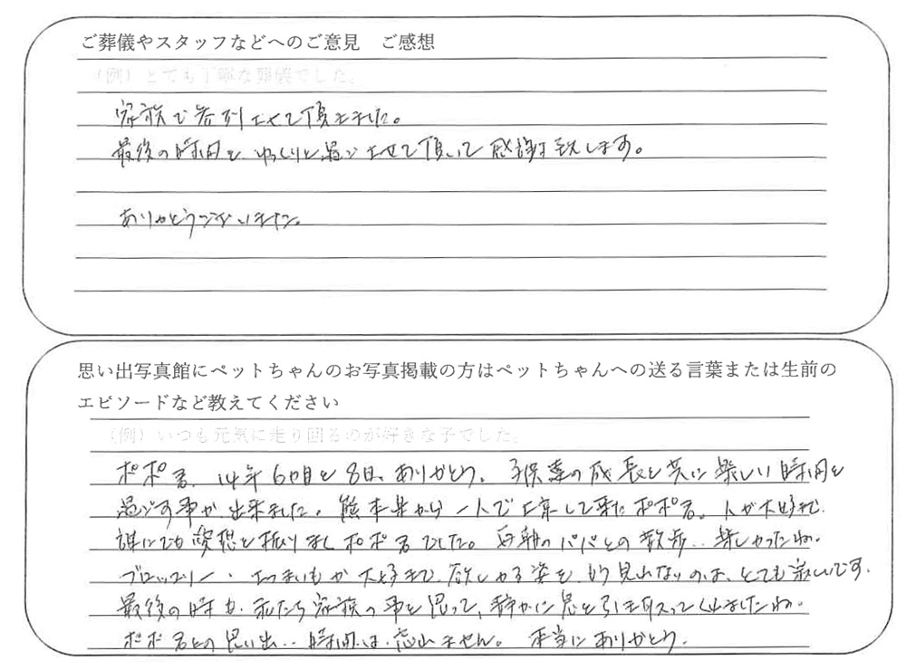 三毛猫火葬
