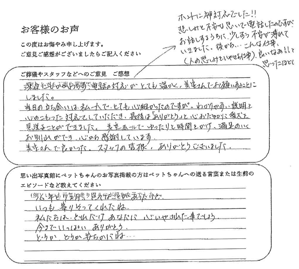 三毛猫火葬