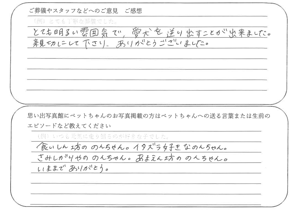 三毛猫火葬