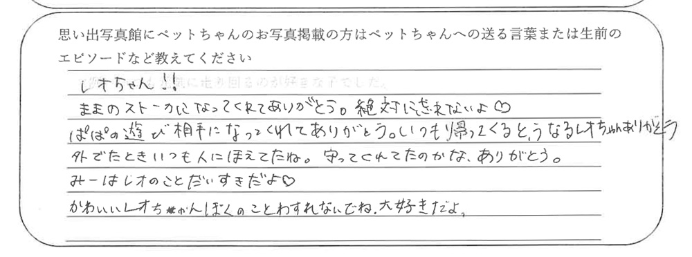 柴犬火葬