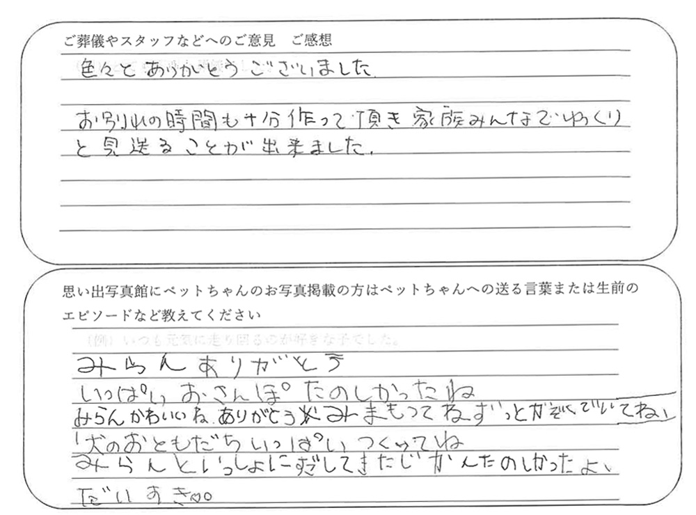 柴犬火葬