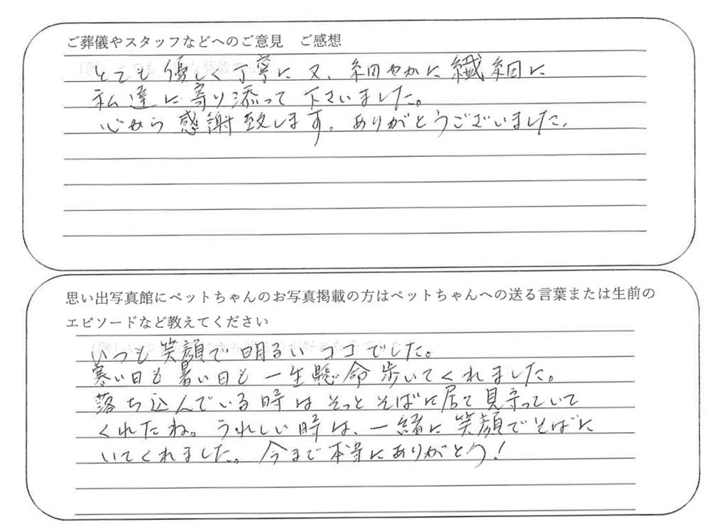柴犬火葬