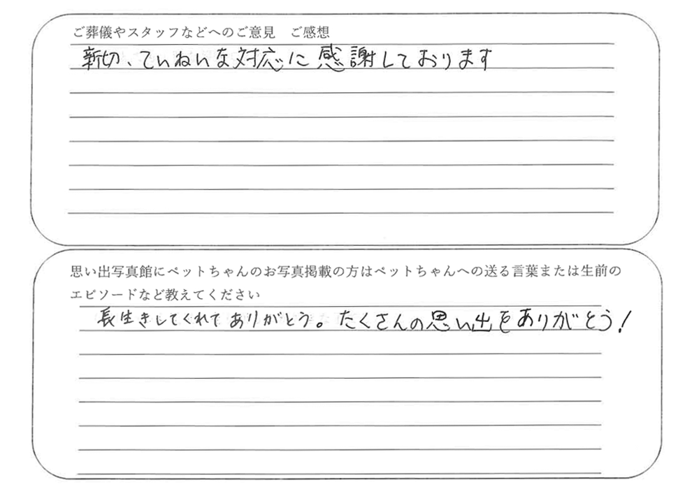 川口市よりハムスター火葬依頼のお客様