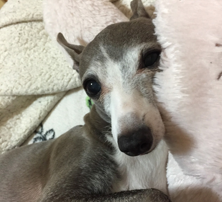 立ち合い葬