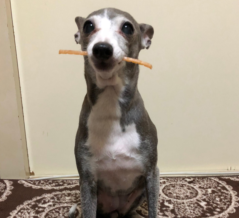 合同火葬